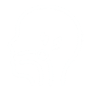 icons4